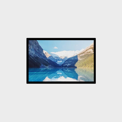 LVDS 1200nits High Brightness LCD Display 1280*800 10.1 Inch LCD Screen Advertising Outdoor