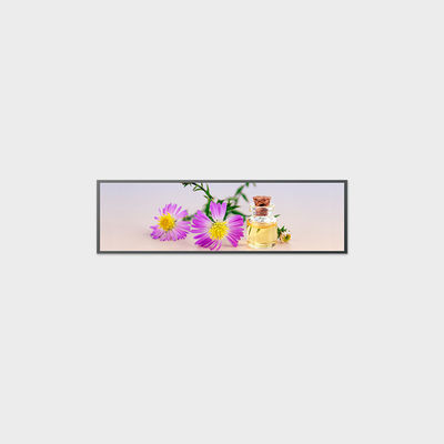 49.5 inch Bar Type LCD Display 3840*1080 V-by-One 250nits