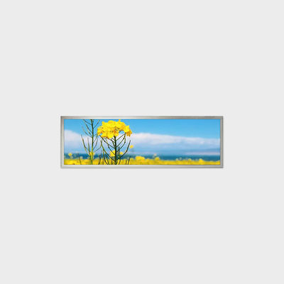 19.4 inch Bar Type LCD Display 1920*510 LVDS 500nits